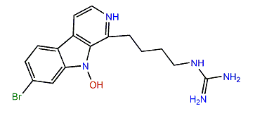 Opacaline B
